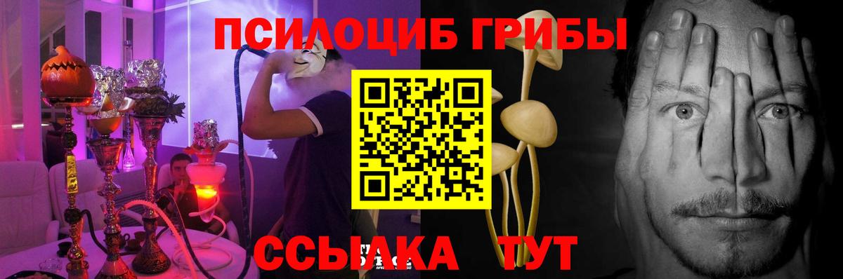наркотики  Вход с VPN  Сибай  Галлюциногенные грибы Psilocybine cubensis  Псилоцибиновые грибы мицелий 